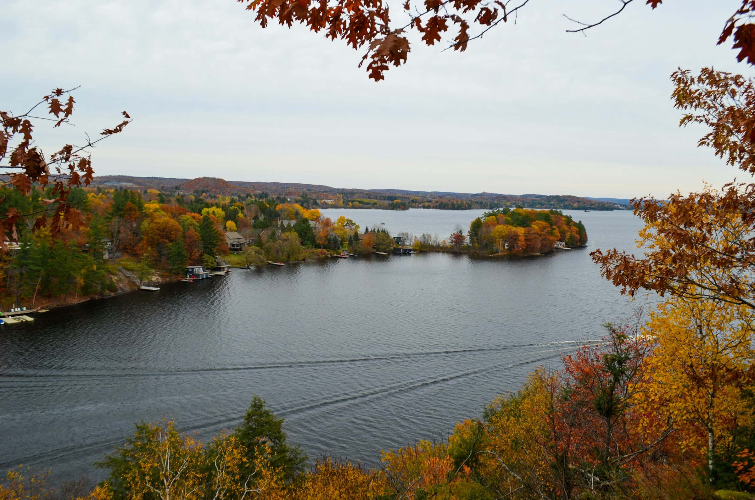 La vue depuis Lion’s Lookout, à Huntsville, en automne
